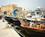 1A Pafos Havn Cypern Anne Vibeke Rejser