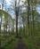 110 Kidnakke Skov, Naturpark Maribosøerne, Lolland Anne Vibeke Rejser IMG 8335