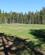 156 Lysning Ved Torup Landsby Tisvilde Hegn Anne Vibeke Rejser IMG 8686