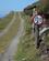 218 Max Hastighed Dursey Island Irland Anne Vibeke Rejser IMG 5247
