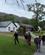 918 Ved Lord Brandons Cottage Gap Of Dunloe Irland Anne Vibeke Rejser IMG 5394