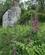 920 Lord Brandons Cottagegap Of Dunloe Irland Anne Vibeke Rejser IMG 5396