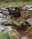 1318 Bolig Brandon Point Irland Anne Vibeke Rejser IMG 5484