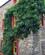 1208 Et Af Kirkwalls Ældste Huse Kirkwall Orkney Skotland Anne Vibeke Rejser IMG 6188
