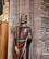 1226 Statue Af St. Olaf Af Norge Kirkwall Orkney Skotland Anne Vibeke Rejser IMG 6204