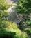 1254 Havens Blomster Kirkwall Orkney Skotland Anne Vibeke Rejser IMG 6284
