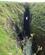 1302 Spalte I Jordfaldshullet The Gloup Orkney Skotland Anne Vibeke Rejser IMG 6221