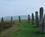 2100 Ring Of Brodgar Orkney Skotland Anne Vibeke Rejser IMG 6391