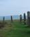 2100 Ring Of Brodgar Orkney Skotland Anne Vibeke Rejser IMG 6391