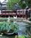 1810 Ved Søen Shanghai Kina Anne Vibeke Rejser IMG 2036
