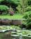 404 Sejler Forbi Idylliske Haver Spreewald Tyskland Anne Vibeke Rejser IMG 0718