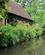 406 På Rundfart Spreewald Tyskland Anne Vibeke Rejser IMG 0725
