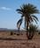 605 Ørkenvandring Skoura Marokko Anne Vibeke Rejser IMG 0556