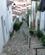 520 Op Mod Middelalderborgen Castelo De Vide Portugal Anne Vibeke Rejser IMG 5495
