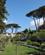 164 Villa Arbusto Med Park Lacco Ameno Ischia Italien Anne Vibeke Rejser IMG 4156