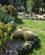 750 Park Med Kaktus Forio Ischia Italien Anne Vibeke Rejser IMG 4203