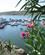 301 Ameieira Marina Ved Alqueva Søen Portugal Anne Vibeke Rejser IMG 3937