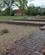 104 Fundamenter Efter Øm Kloster Oem Kloster Kloster Soehoejlandet Jylland Anne Vibeke Rejser IMG 4884