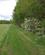 132 Langs Levende Hegn På Odderholm Oem Kloster Kloster Soehoejlandet Jylland Anne Vibeke Rejser IMG 4908