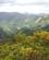 46 Gennem Bjerglandskabet Mod Pico Da Areia Azorerne Portugal Anne Vibeke Rejser PICT0108