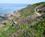1100 Når Lyngen Blomstrer På Hammerknuden Bornholm Anne Vibeke Rejser IMG 8649