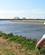135 På Græsdige Ved Aggersundbroen Limfjordsruten Limfjorden Jylland Anne Vibeke Rejser PICT0061