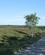 124 Varieret Skov Med Aabne Lyngarealer Klosterheden Nordvestjylland Anne Vibeke Rejserimg 7800