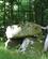 104 Ved En Af Broby Vesterskovs Mange Grave Fra Bondestenalderen Broby Vestskov Soroe Anne Vibeke Rejser IMG 8211