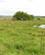 112 Strandengen Ved Dyrnaese Mole Jaegerspris Nordskov Nordsjaelland Anne Vibeke Rejser PICT0063