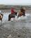 504 Ridetur Ved Den Gyldne Strand Lysuholl Hestefarm Snaefellsnes Island Anne Vibeke Rejser IMG 2640