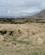 904 Naturområdet Budir Snaefellsnes Island Anne Vibeke Rejser IMG 2590