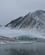 502 Brae Ved Hornsund Spitsbergen Svalbard Hurtigruten Norge Anne Vibeke Rejserimg 2286