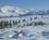 700 Fjeldtur Paa Floeya I Tromsoe Hurtigruten Norge Anne Vibeke Rejser IMG 2584