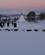 151 Hundeslaederne Sendes Afsted Tromsoe Vildmarkssenter Tromsoe Hurtigruten Norge Anne Vibeke Rejser PICT0177
