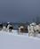 152 Slaedehundene Elsker At Traekke Tromsoe Vildmarkssenter Tromsoe Hurtigruten Norge Anne Vibeke Rejser DSC05663