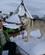 600 Herlig Slaedehund Ved Tromsoe Vildmarkssenter Tromsoe Hurtigruten Norge Anne Vibeke Rejser DSC05517