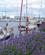 318 Marinaen I Oskarshamn Smaaland Sverige Anne Vibeke Rejser IMG 1214