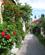 440 Blomsterprydet Gade Visby Gotland Sverige Anne Vibeke Rejserimg 1271