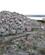 162 En Stenroese Er En Stengrav Fra Bronzealderen Bohuslän Vestsverige Anne Vibeke Rejser IMG 1240