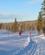 127 Plattespaaret 2 Fjäll Dalarna Sverige Anne Vibeke Rejser