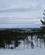 609 Naturen Omkring Laangberget Sysslebäck Värmland Sverige Anne Vibeke Rejser LIMG 5591