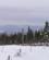 120 Nysne Paa Laangberget Sysslebäck Värmland Sverige Anne Vibeke Rejser PICT0033