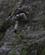 122 Klatring Paa Vaade Klipper Eidfjord Norge Anne Vibeke Rejser IMG 3923