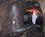 400 Vandfyldt Tunnel I Barranco De Agua La Palma De Kanariske Oeer Spanien Anne Vibeke Rejser IMG 5271