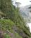 401 Bjergvandring I Suptropisk Regnskov Barranco De Agua La Palma De Kanariske Oeer Spanien Anne Vibeke Rejser DSC02570