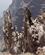 606 Lodrette Basaltklipper La Caldera De Taburiente La Palma De Kanariske Oeer Spanien Anne Vibeke Rejser DSC02639