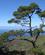 631 Mange Muligheder For Skoenne Naturoplevelser Paa La Palma De Kanariske Oeer Spanien Anne Vibeke Rejser MG 5196