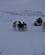 131 Der Er Flere Hundeslaeder Som Foelges Ad Kangerlussuaq Groenland Anne Vibeke Rejser PICT0593