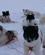 163 De Altid Sultne Hunde Er Opmaerksomme Kangerlussuaq Groenland Anne Vibeke Rejserpict0637
