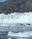204 Eqip Sermia Gletsjeren (Eqi Isbraeen) Glacier Lodge Eqi Groenland Anne Vibeke Rejser DSC02069